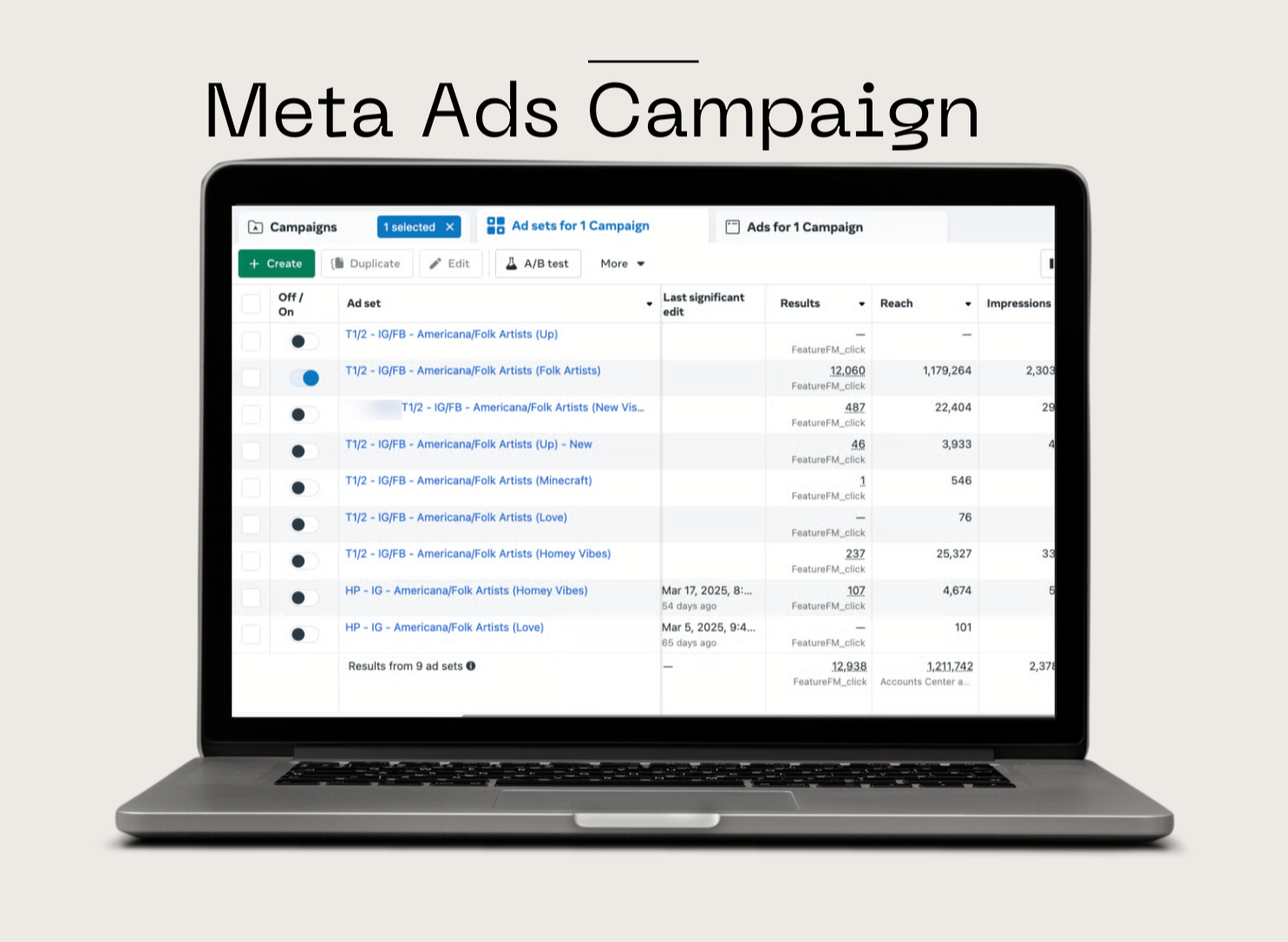Meta Ads Marketing Campaign
